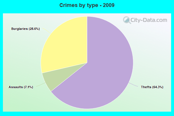 Crimes by type - 2009