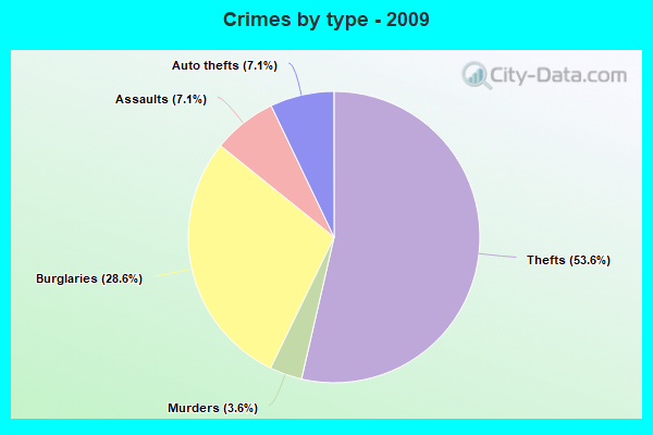 Crimes by type - 2009