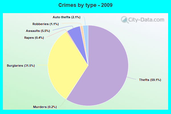 Crimes by type - 2009