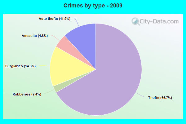 Crimes by type - 2009