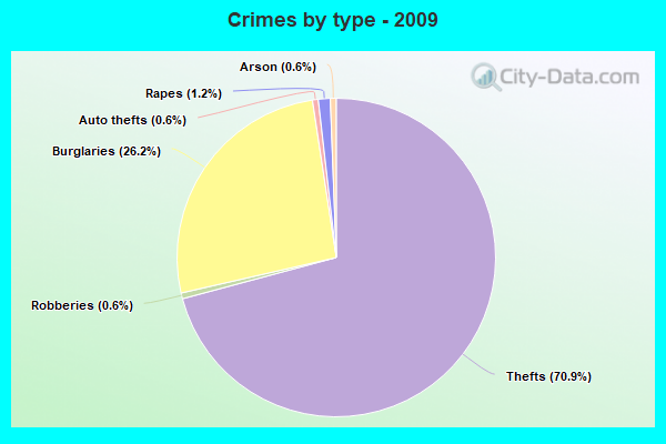 Crimes by type - 2009