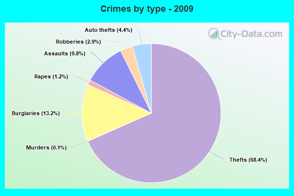 Crimes by type - 2009