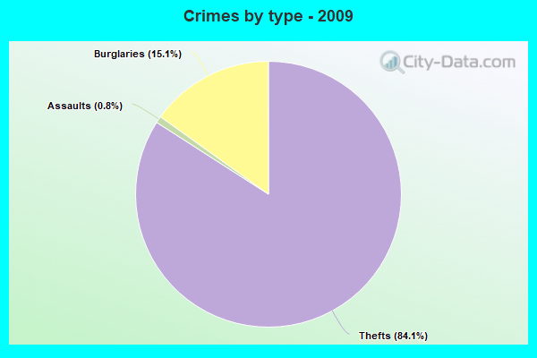 Crimes by type - 2009