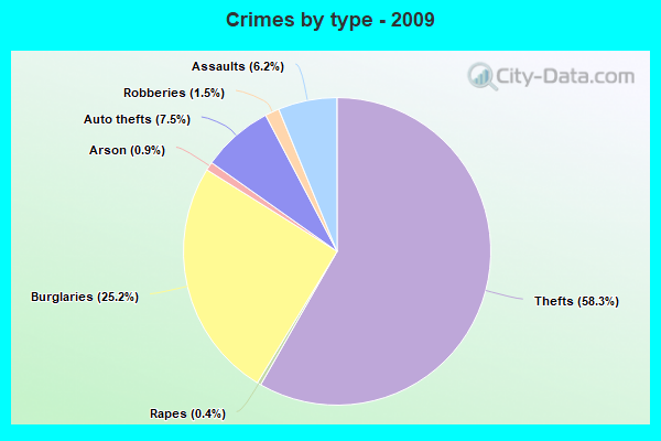 Crimes by type - 2009