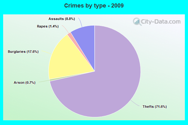 Crimes by type - 2009