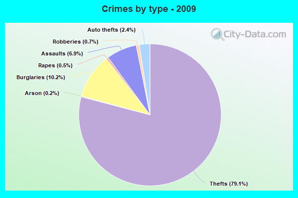 Crimes by type - 2009