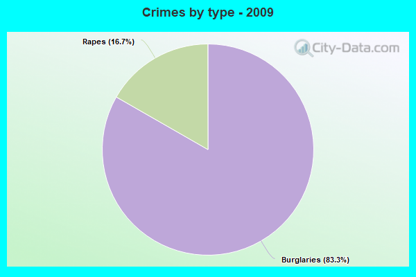 Crimes by type - 2009