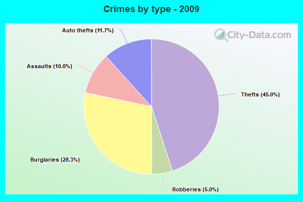 Crimes by type - 2009