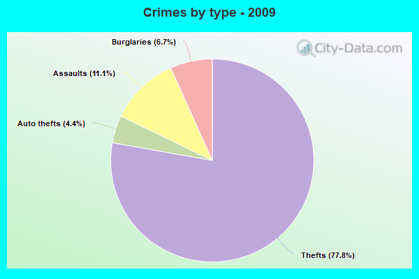 Crimes by type - 2009