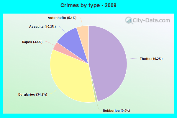 Crimes by type - 2009