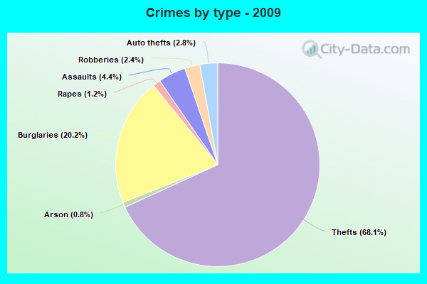 Crimes by type - 2009