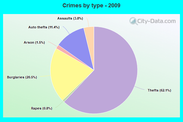 Crimes by type - 2009