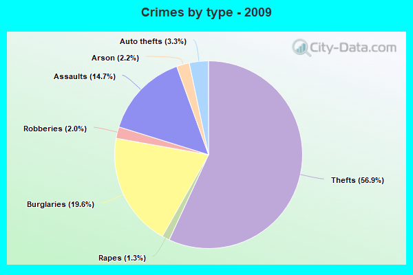 Crimes by type - 2009