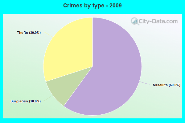 Crimes by type - 2009