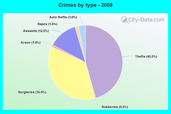 Crimes by type - 2009