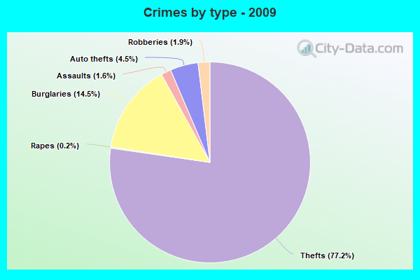 Crimes by type - 2009