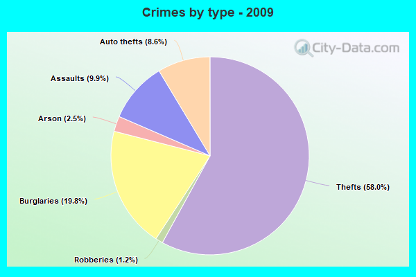 Crimes by type - 2009