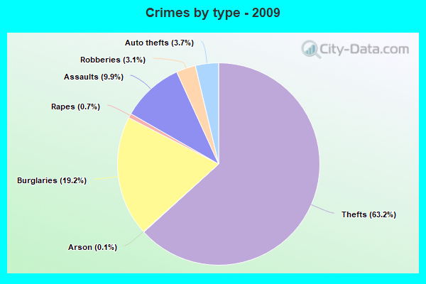 Crimes by type - 2009