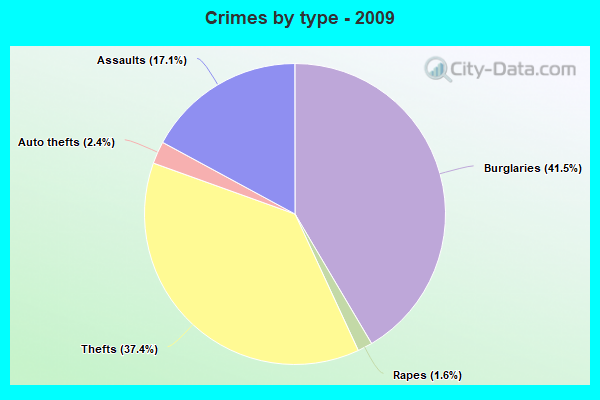 Crimes by type - 2009