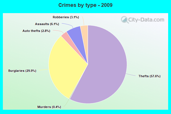 Crimes by type - 2009