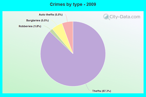 Crimes by type - 2009