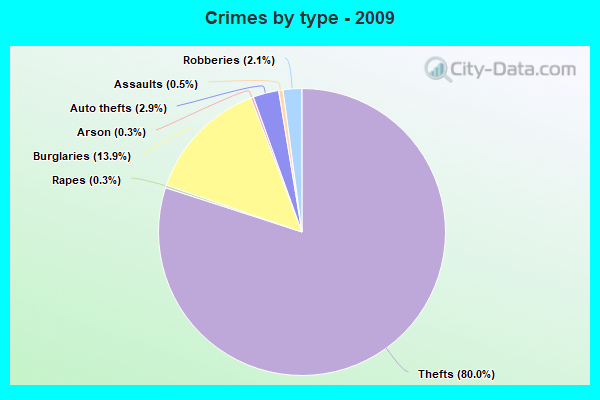 Crimes by type - 2009