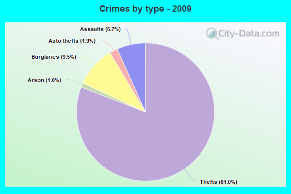 Crimes by type - 2009