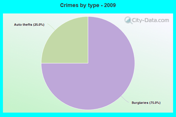 Crimes by type - 2009