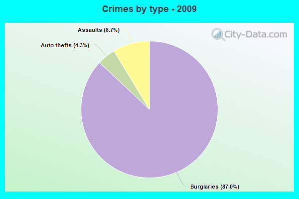 Crimes by type - 2009