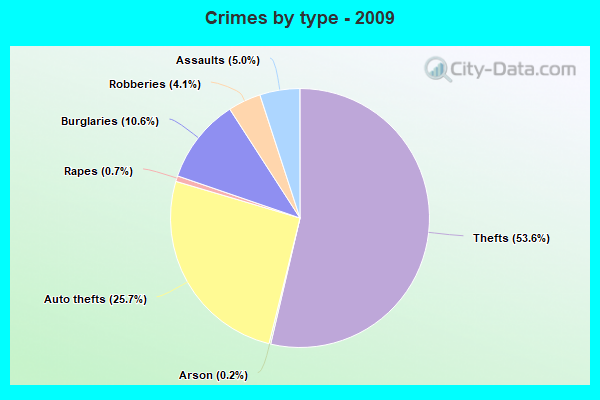 Crimes by type - 2009