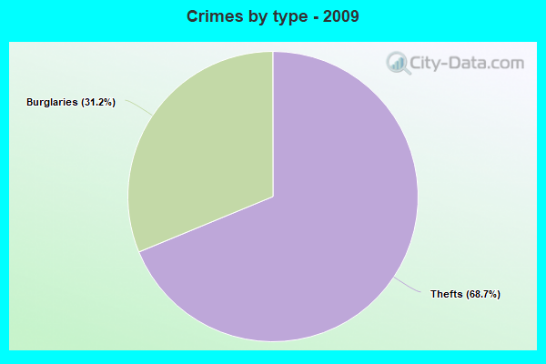 Crimes by type - 2009