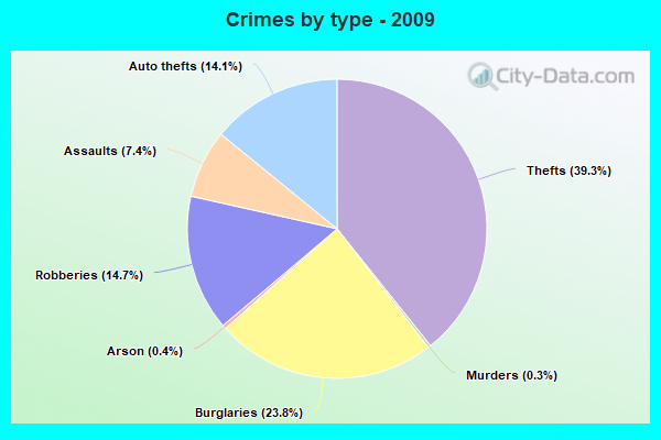 Crimes by type - 2009