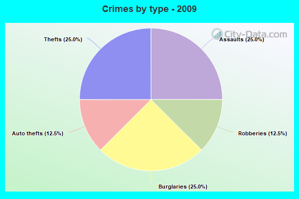 Crimes by type - 2009