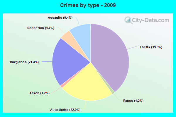 Crimes by type - 2009