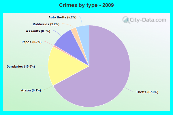 Crimes by type - 2009