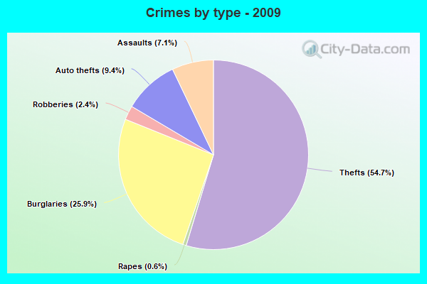 Crimes by type - 2009