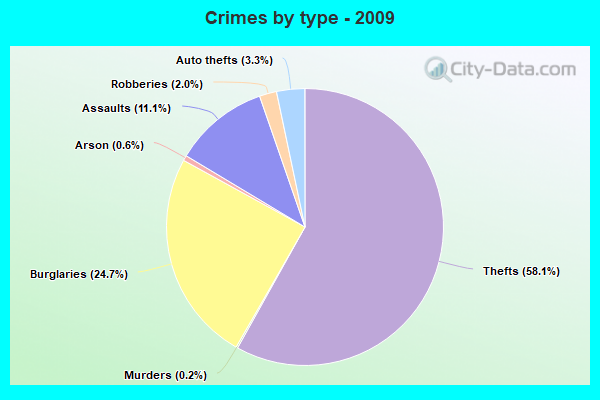 Crimes by type - 2009