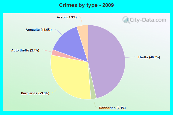 Crimes by type - 2009