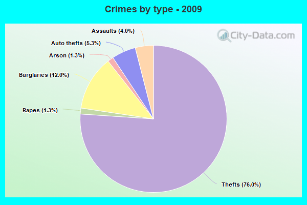 Crimes by type - 2009