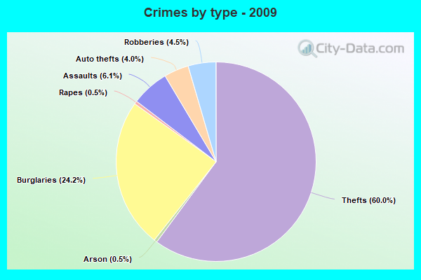 Crimes by type - 2009