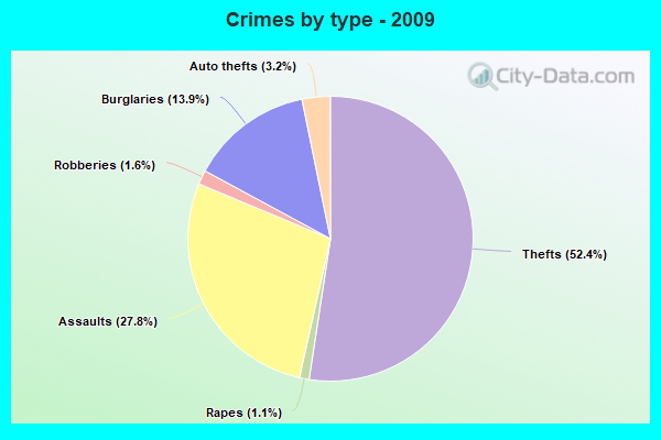 Crimes by type - 2009