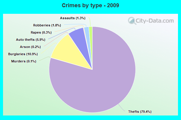 Crimes by type - 2009