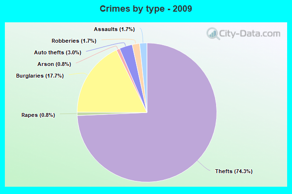 Crimes by type - 2009