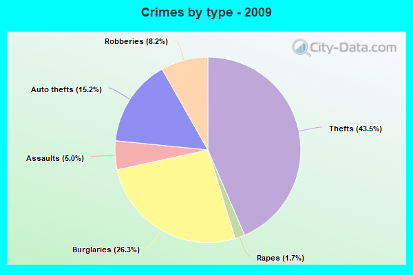 Crimes by type - 2009