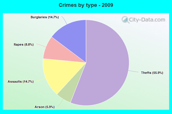 Crimes by type - 2009