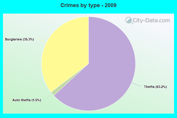 Crimes by type - 2009