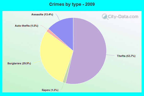 Crimes by type - 2009