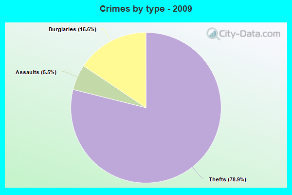 Crimes by type - 2009