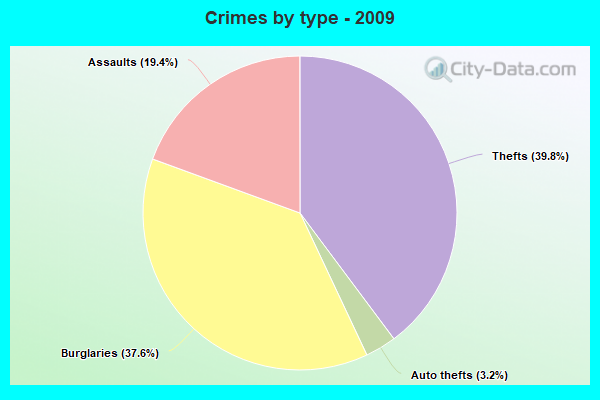 Crimes by type - 2009