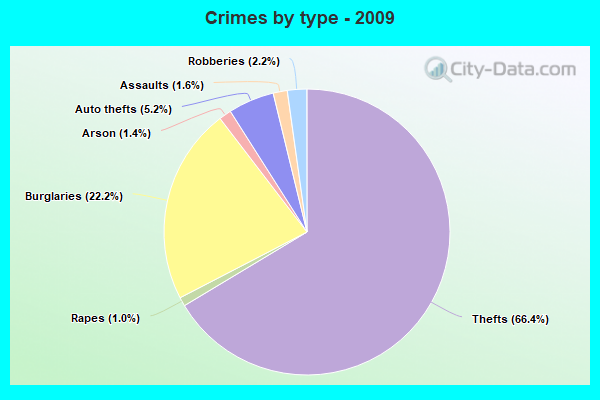 Crimes by type - 2009